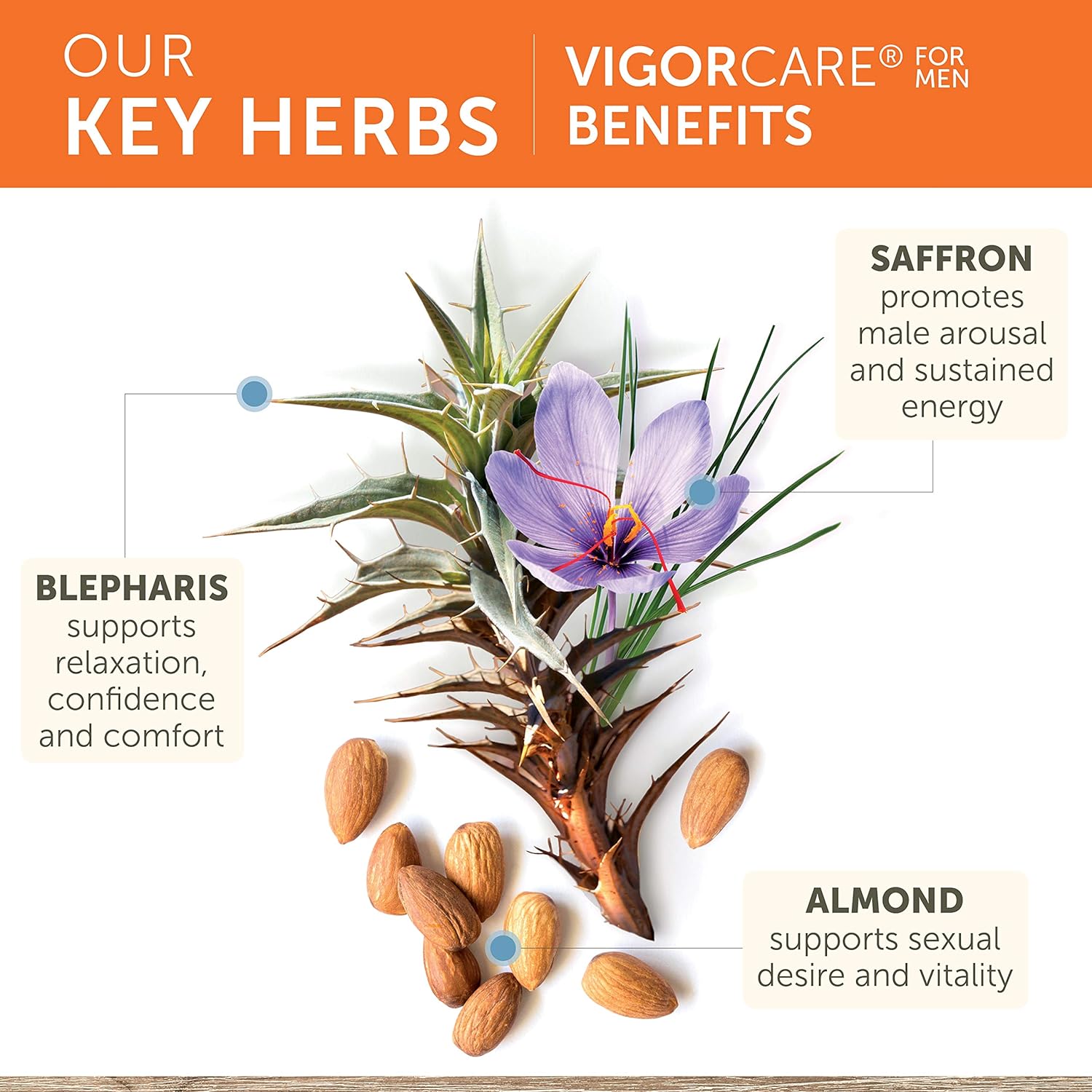 Himalaya VigorCare® For Men ,60 Capsules - Image 9