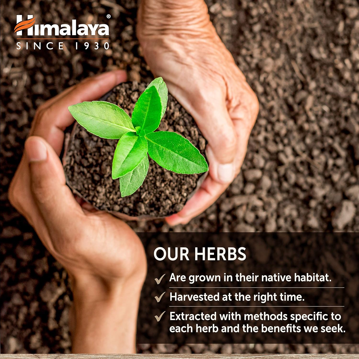 Himalaya VigorCare® For Men ,60 Capsules - Image 6