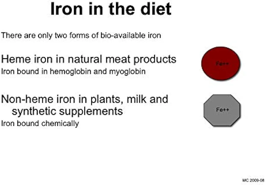 OptiFer® F 60 Tablets - Natural Heme Iron and Folic Acid Food Supplement - Image 2