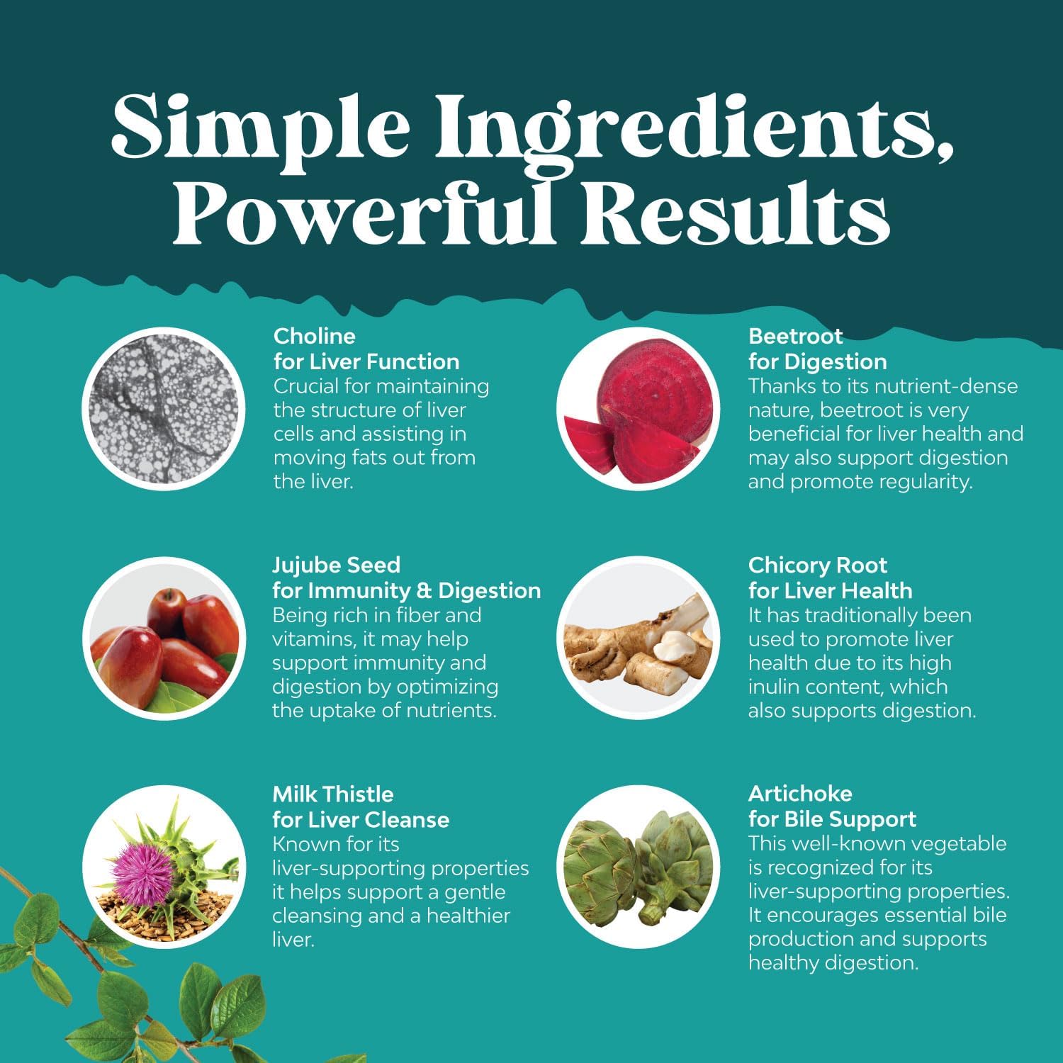 Liver Support Complex by Nature's Craft | Milk Thistle for Natural Cleanse | 180 Capsules - Image 5