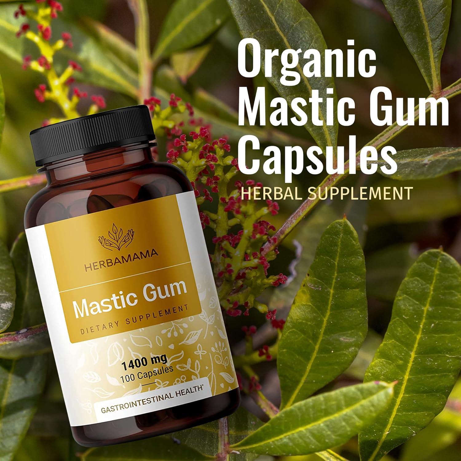 HERBAMAMA Mastic Gum 100 Capsules - Image 4