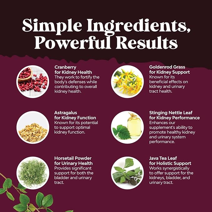 Kidney Support Cranberry Supplement for Women and Men - High Strength Kidney Cleanse Detox & Repair Formula with Stinging Nettle and Astragalus for Kidney and Bladder Health - Non-GMO Halal and Vegan - Image 4