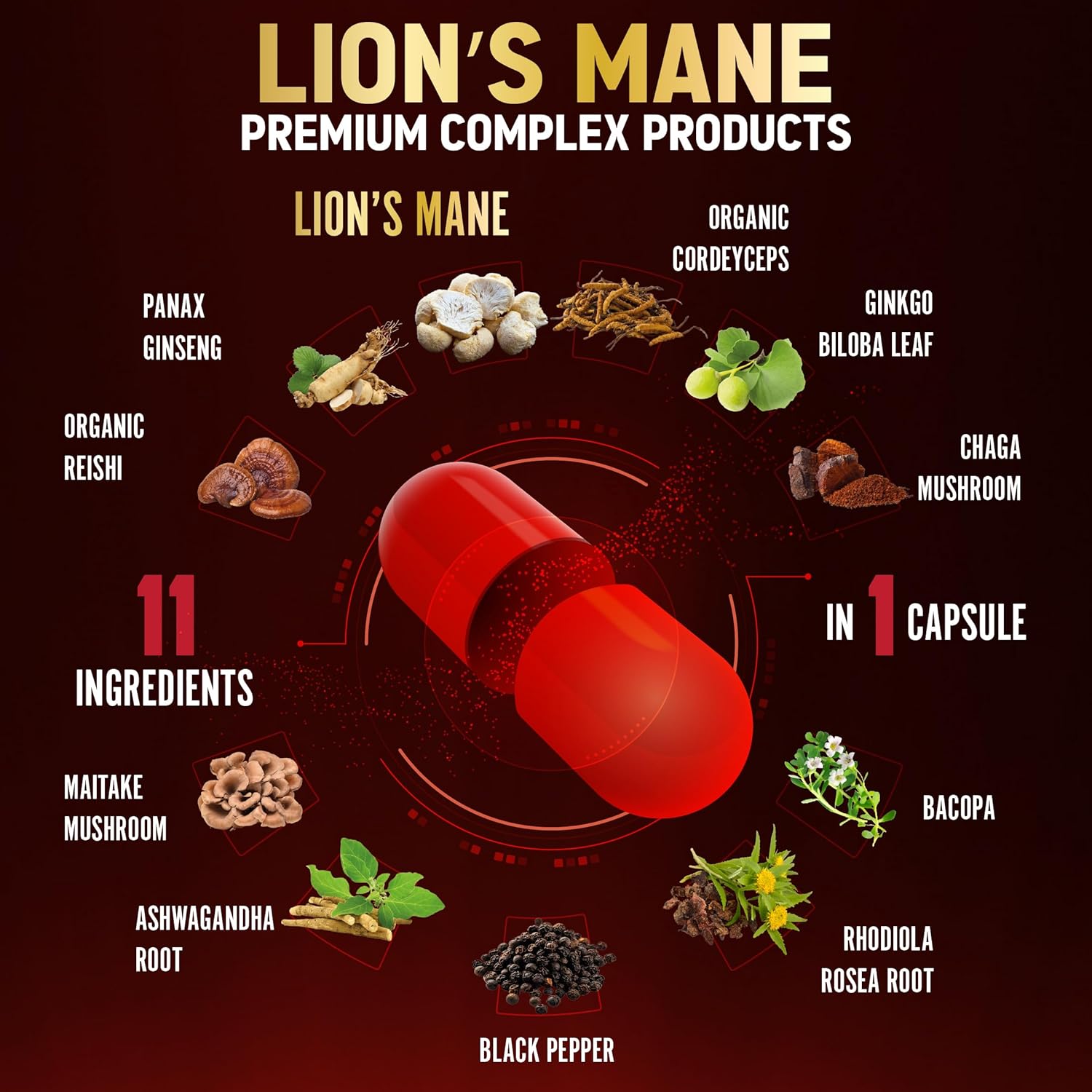 Zolotus Lions Mane Mushroom Complex 11-in-1 | 90 Capsules - Image 6