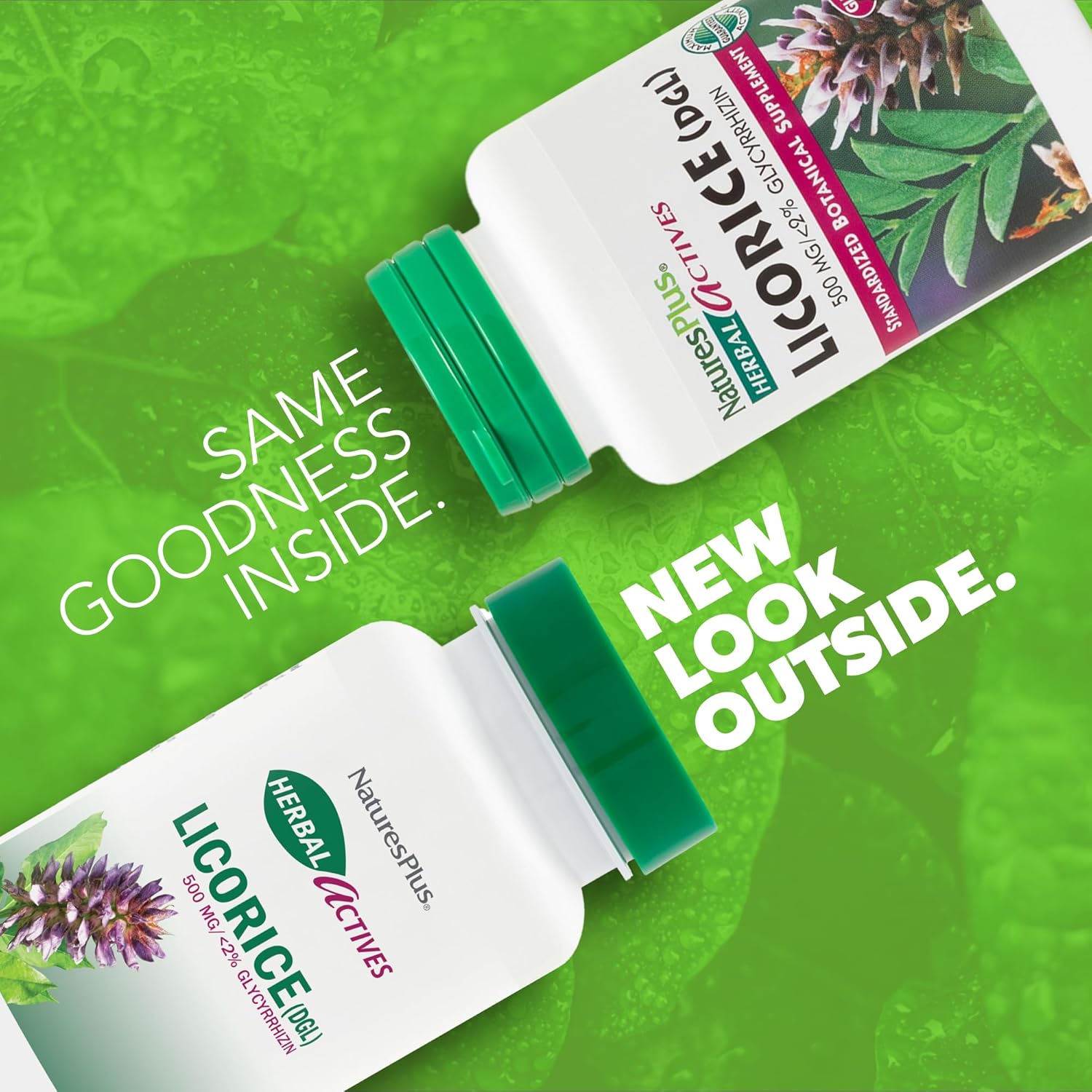 NaturesPlus Herbal Actives Licorice (DGL) Capsules - 500mg, 60 Vegan Supplements - Vegetarian, Gluten-Free - 60 Servings <BR/> كبسولات عرق السوس العشبية من ناتشرز بلس - 500 ملجم، 60كبسولة - Image 5
