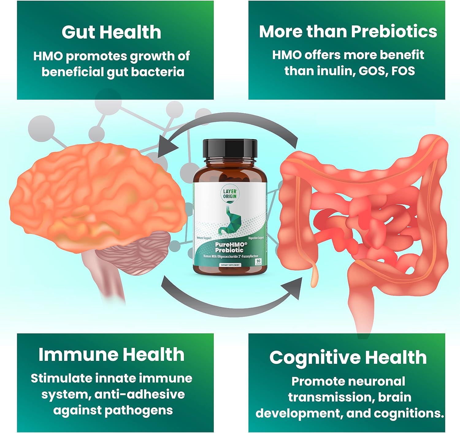 Layer Origin | PureHMO Human Milk Oligosaccharide (HMO 2'-FL) Prebiotic - Feed 180 Billion Probiotics/Serving, 30-Day Supply - Image 7