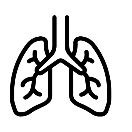 Respiratory System Supplements