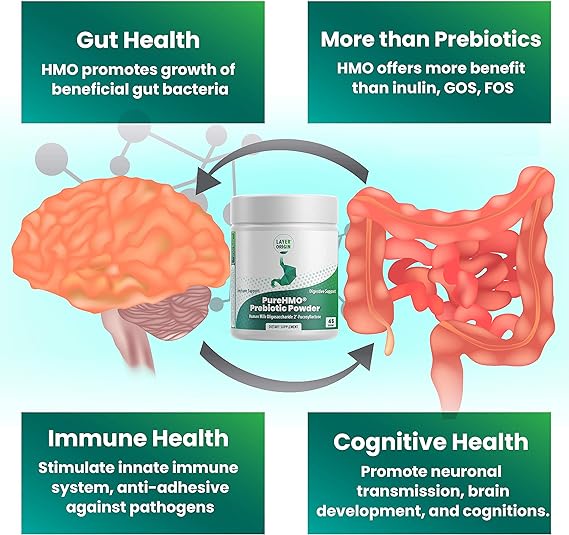 Layer Origin PureHMO Human Milk Oligosaccharide (HMO 2'-FL) Prebiotic Powder - Feed 200 Billion ProbioticsScoop, 45 Servings