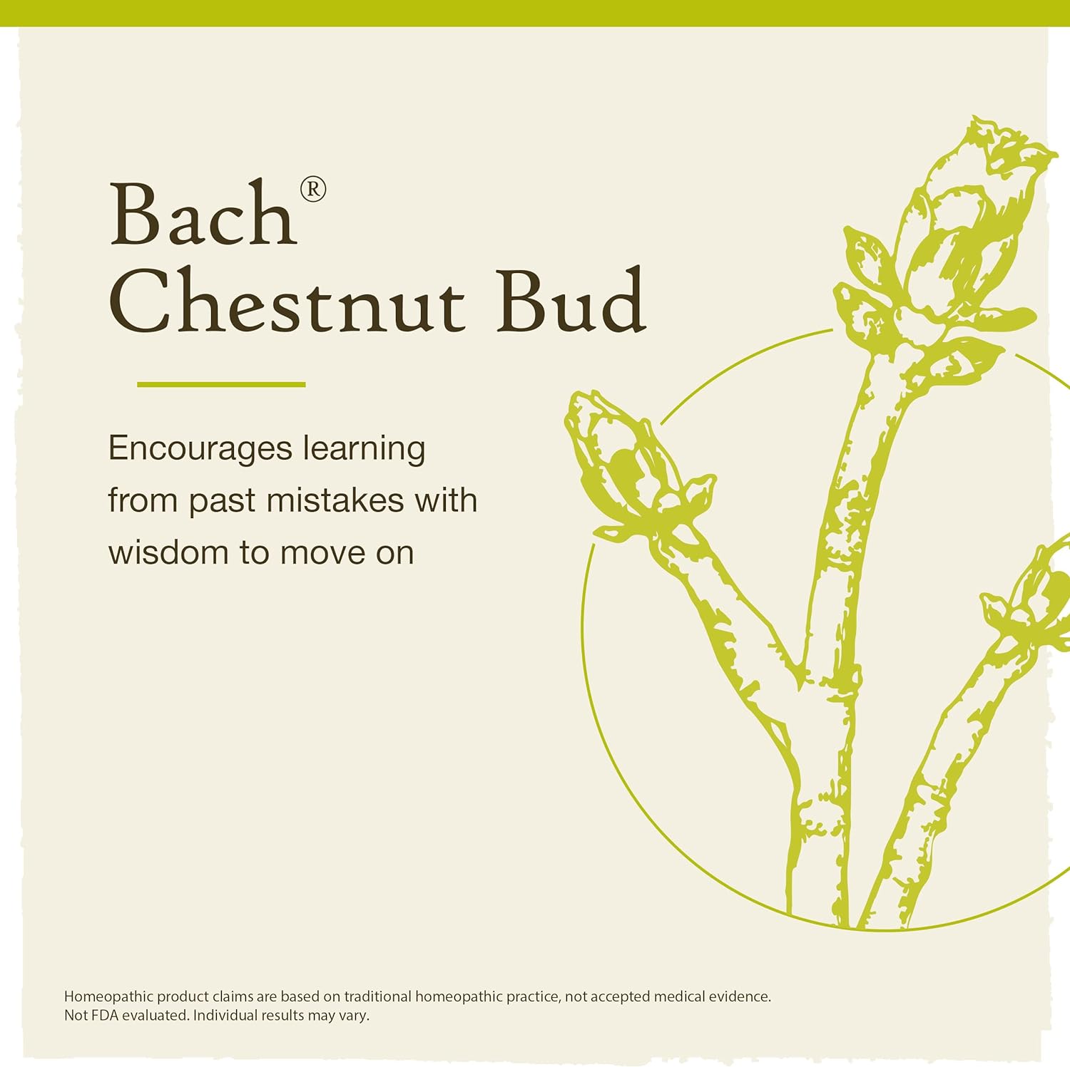 Bach Original Flower Remedies, Chestnut Bud 10mL Dropper <Br /> برعم الكستناء من علاجات الزهور الأصلية لد.باخ , 10 مل - Image 3