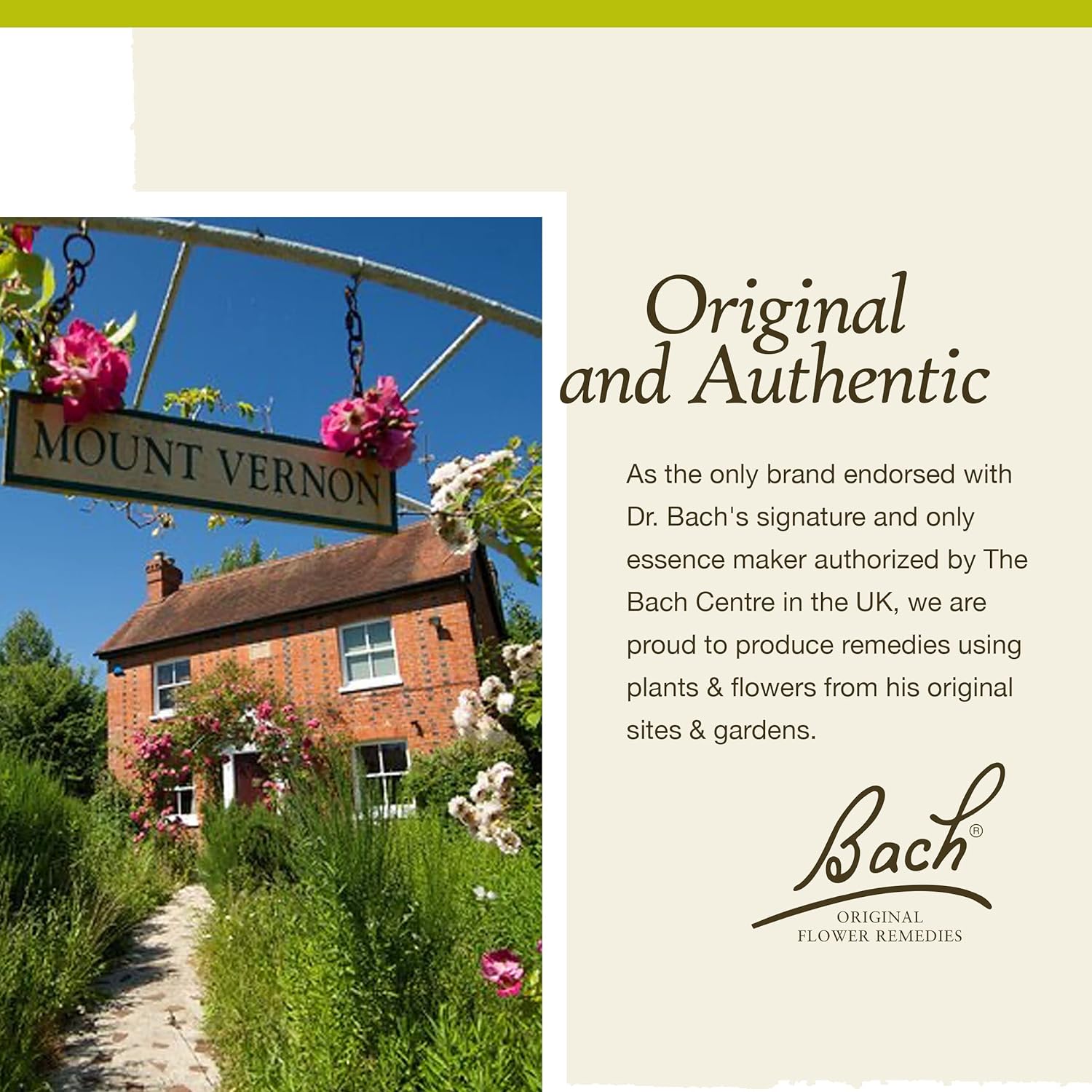 Bach Original Flower Remedies, Chestnut Bud 10mL Dropper <Br /> برعم الكستناء من علاجات الزهور الأصلية لد.باخ , 10 مل - Image 7