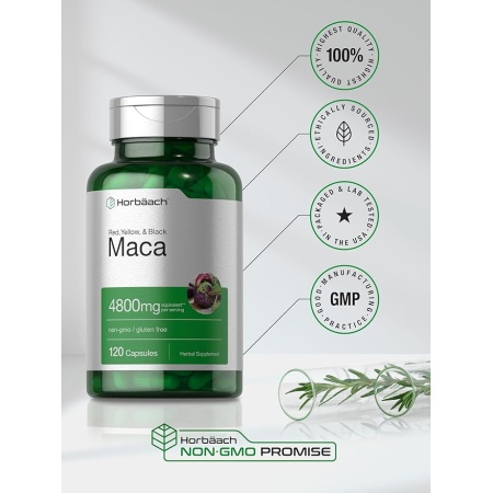 Horbäach Maca Root Capsules 120 Pills High Potency Extract for Men and Women Non-GMO and Gluten Free Formula
