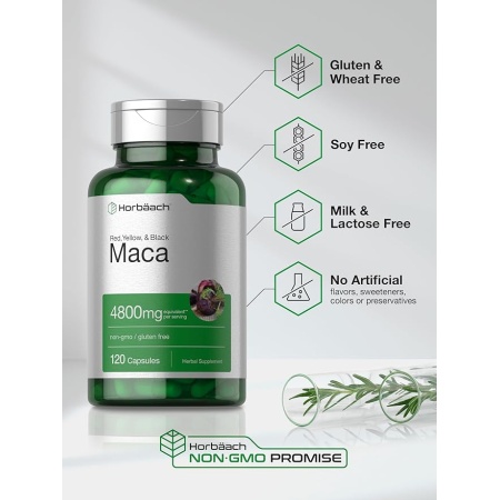 Horbäach Maca Root Capsules 120 Pills High Potency Extract for Men and Women Non-GMO and Gluten Free Formula