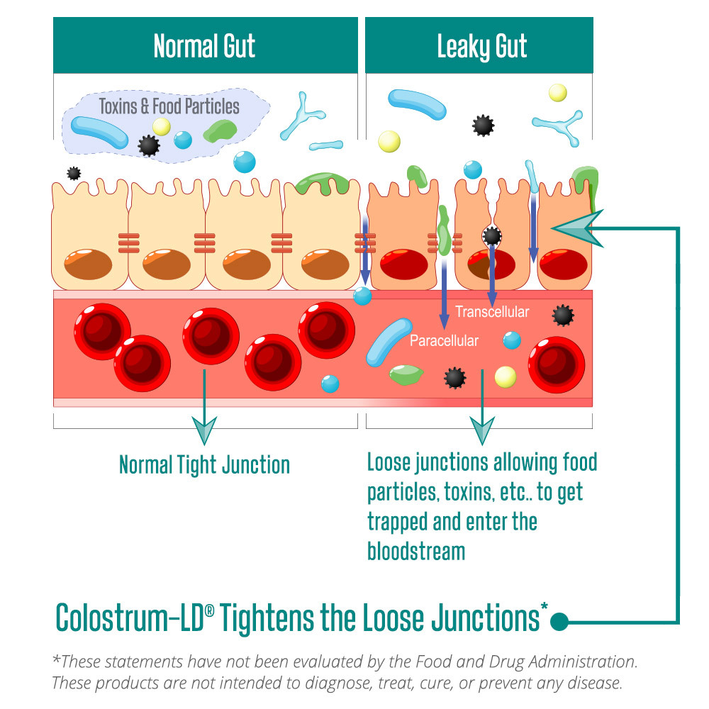 Colostrum-LD® Powder, 453g - Image 5