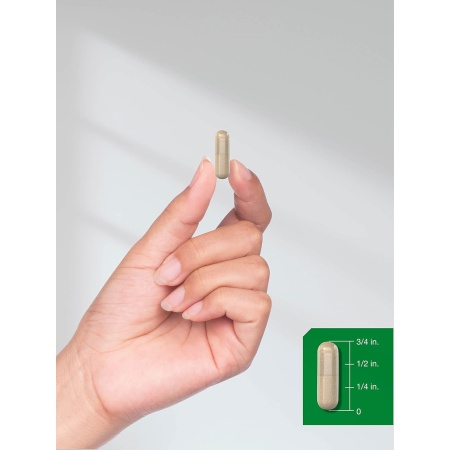 Horbäach, Scullcap 800 mg, Capsule size and shape