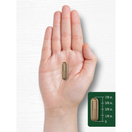 Carlyle Fennel Seed 480mg, Capsule size