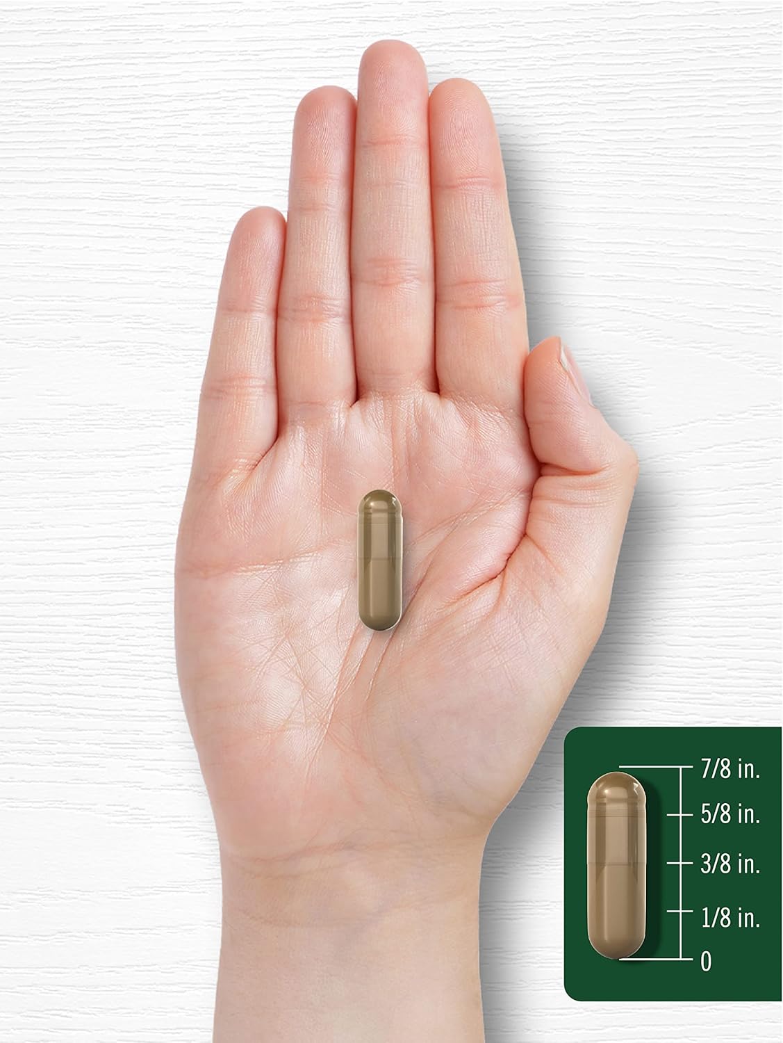 Carlyle Fennel Seed 480mg, Capsule size