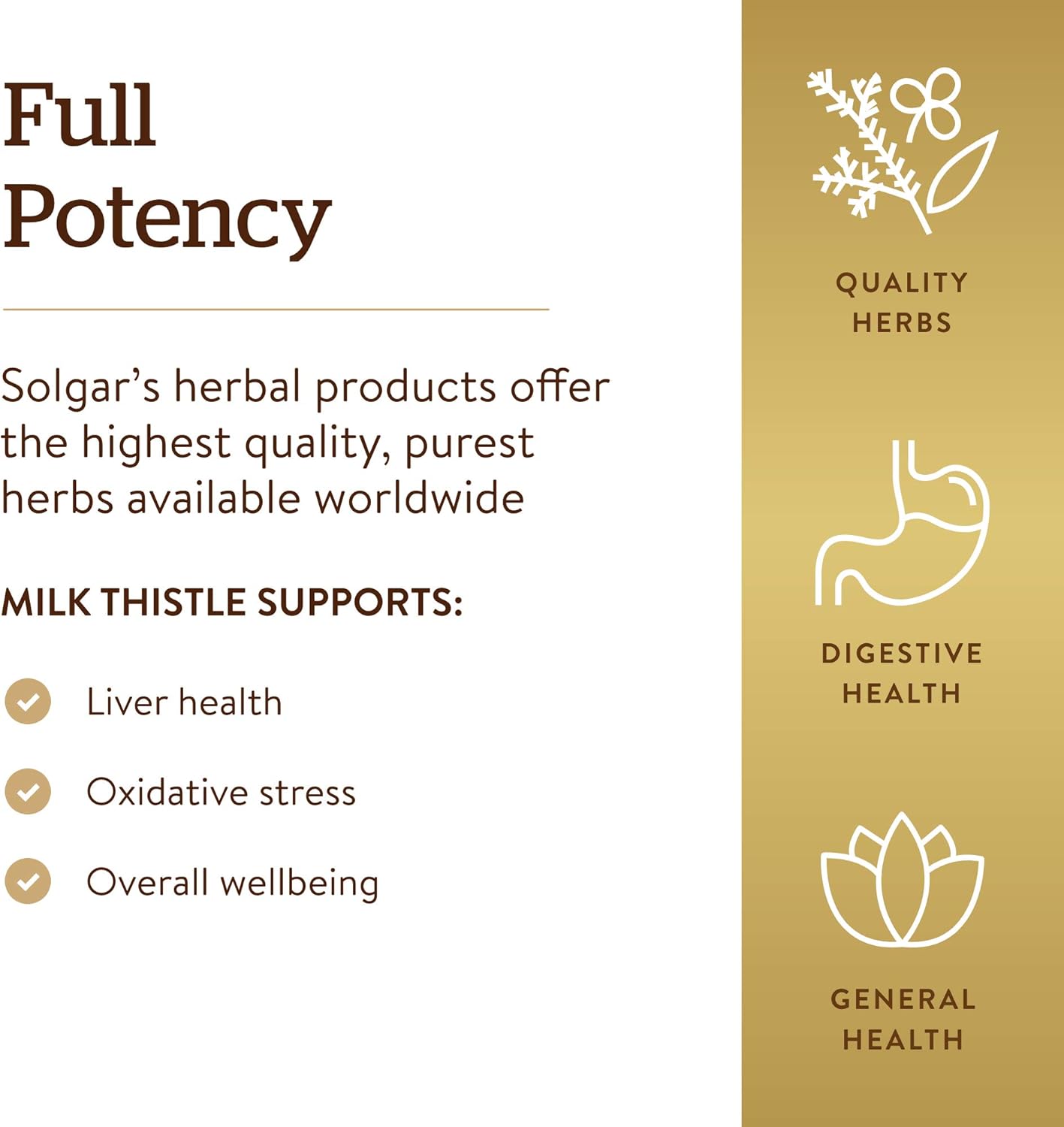 Solgar Milk Thistle (Silybum Marianum) 100 mg, Benefits