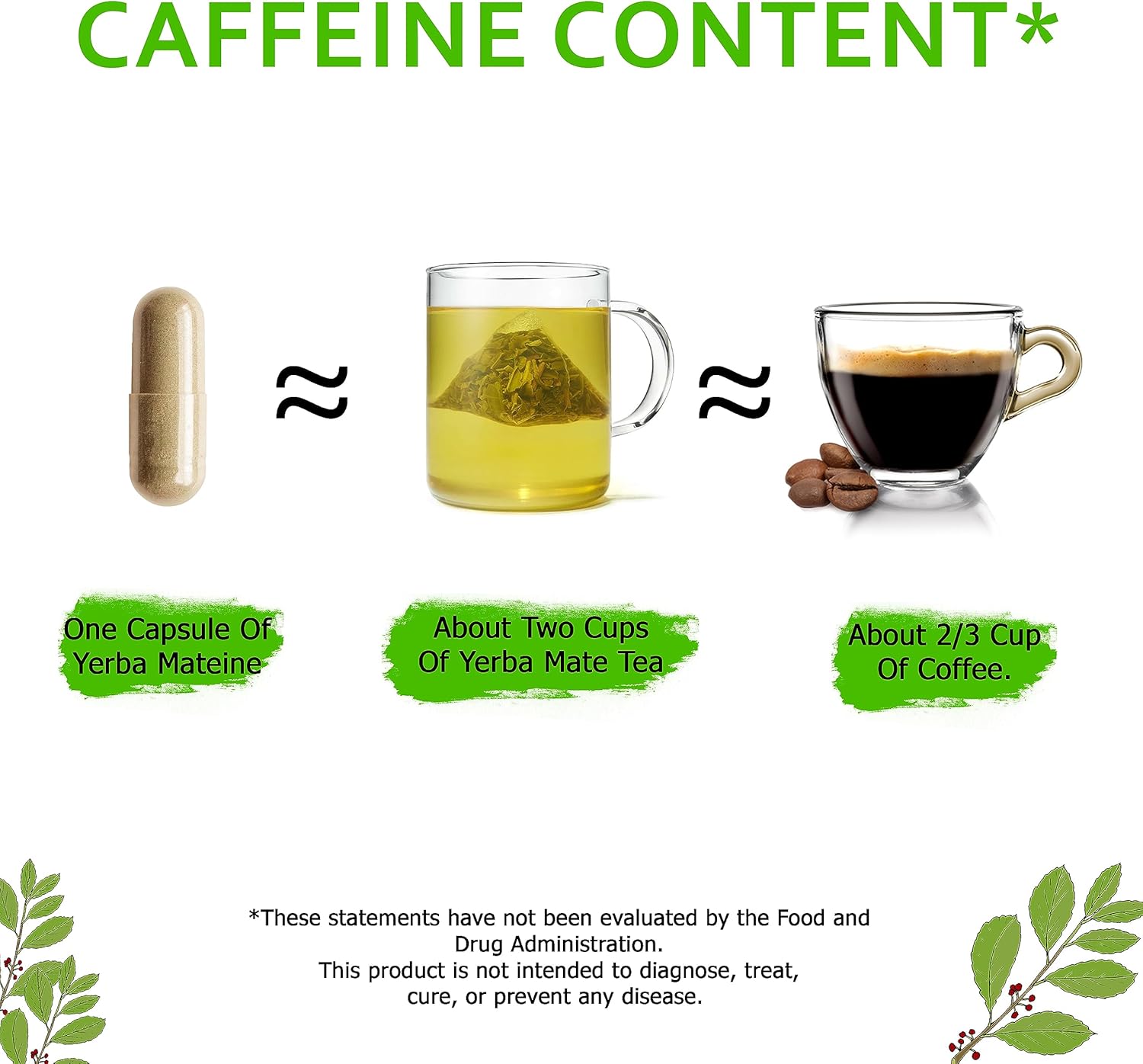 Yerba Mateine, Yerba Mate 6000 mg, caffine content