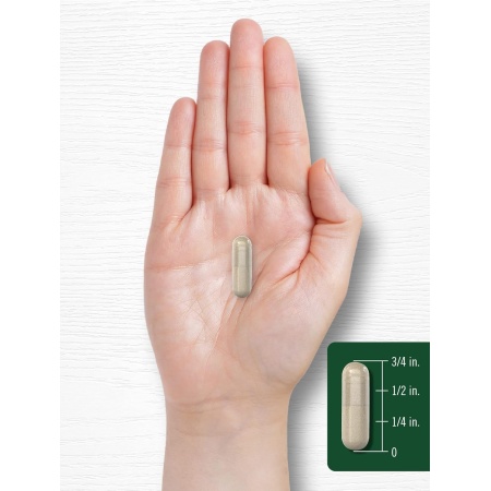 Carlyle Rosemary 1200mg, Capsule Size and Shape