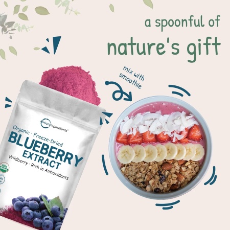 MicroIngredients, Organic Blueberry Extract Powder, 283 gm