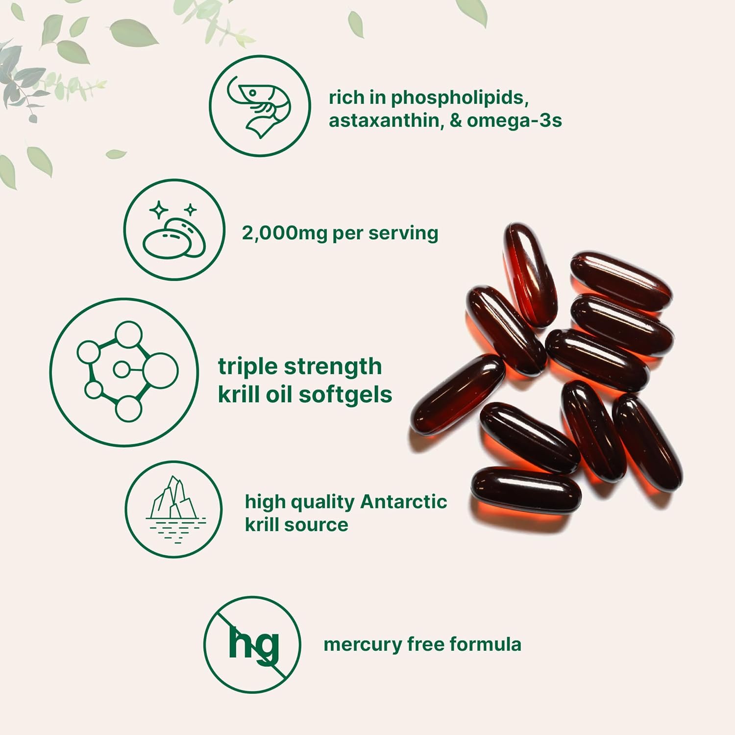 Micro Ingredients Antarctic Krill Oil Supplement | 2,000mg Per Serving | 240 Softgels - Image 5