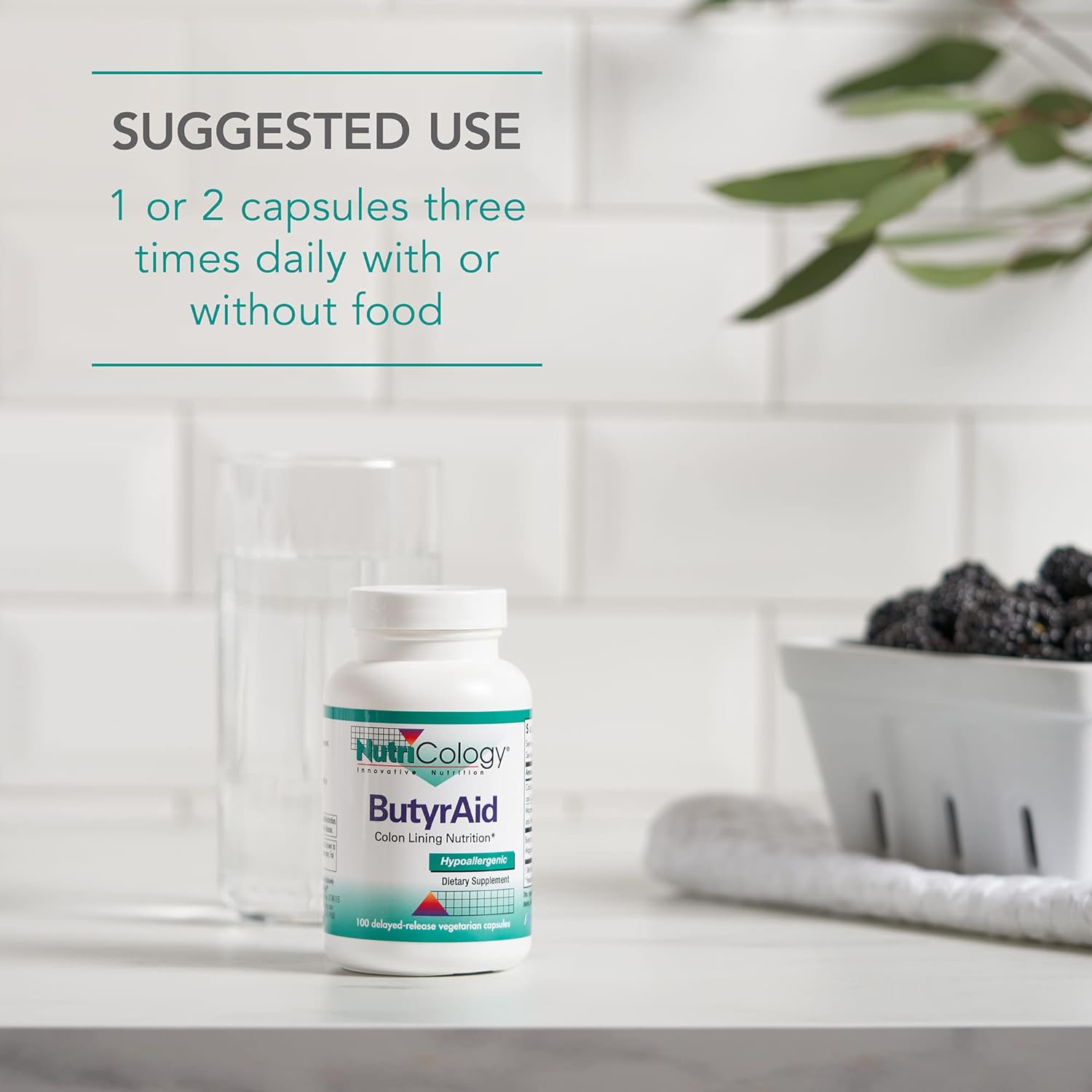 NutriCology ButyrAid: Advanced Gut Health Supplement | 100 Capsules - Image 3