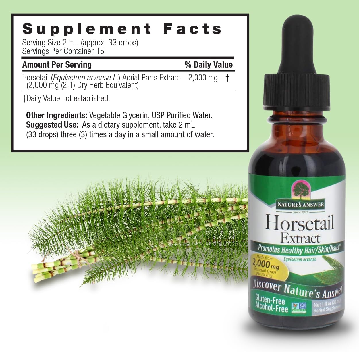 Nature's Answer Alcohol-Free Horsetail Herb Extract Supplement | 30 ml - Image 6