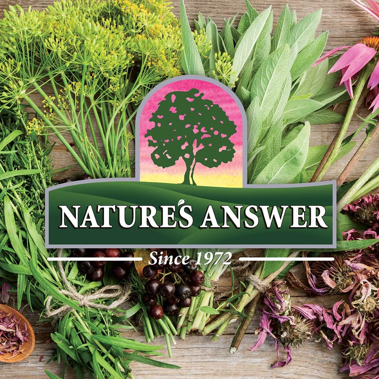 Nature's Answer Alcohol-Free Horsetail Herb Extract Supplement | 30 ml - Image 2