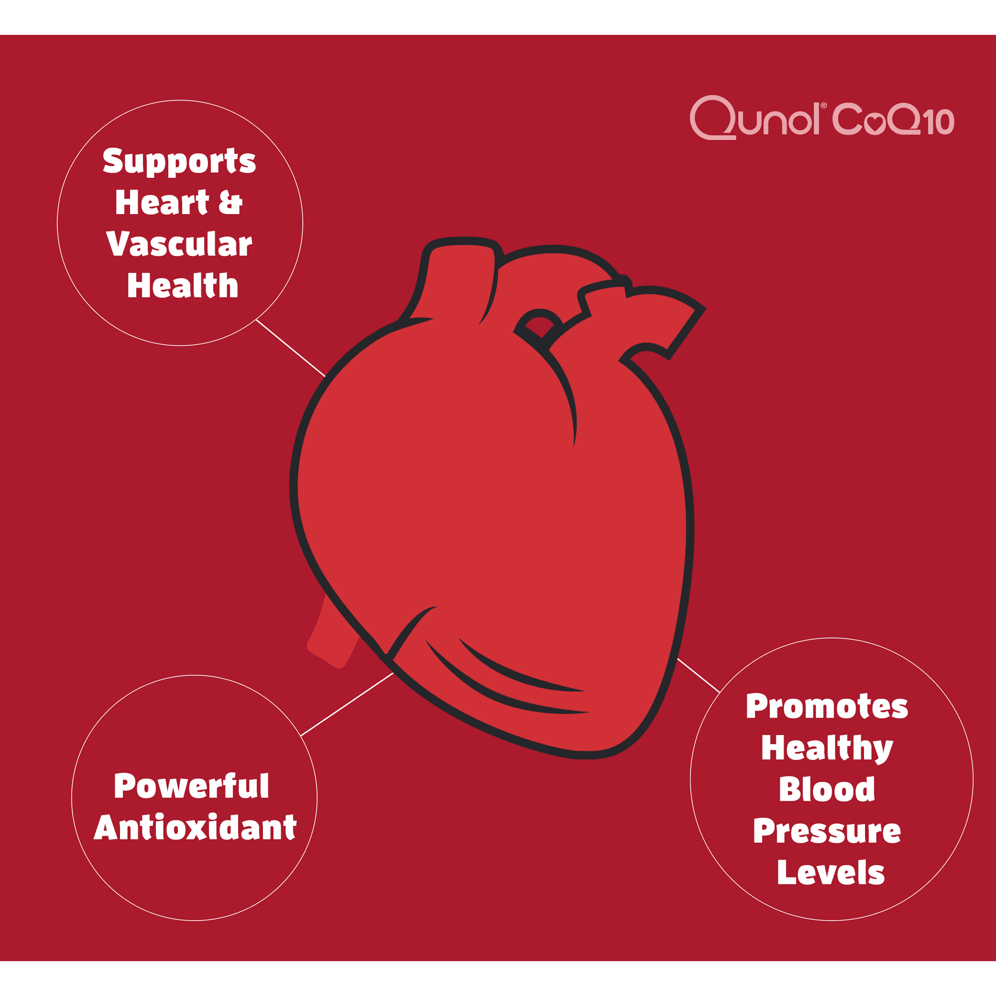 Qunol Mega CoQ10 Ubiquinol | 120 softgels - Image 3