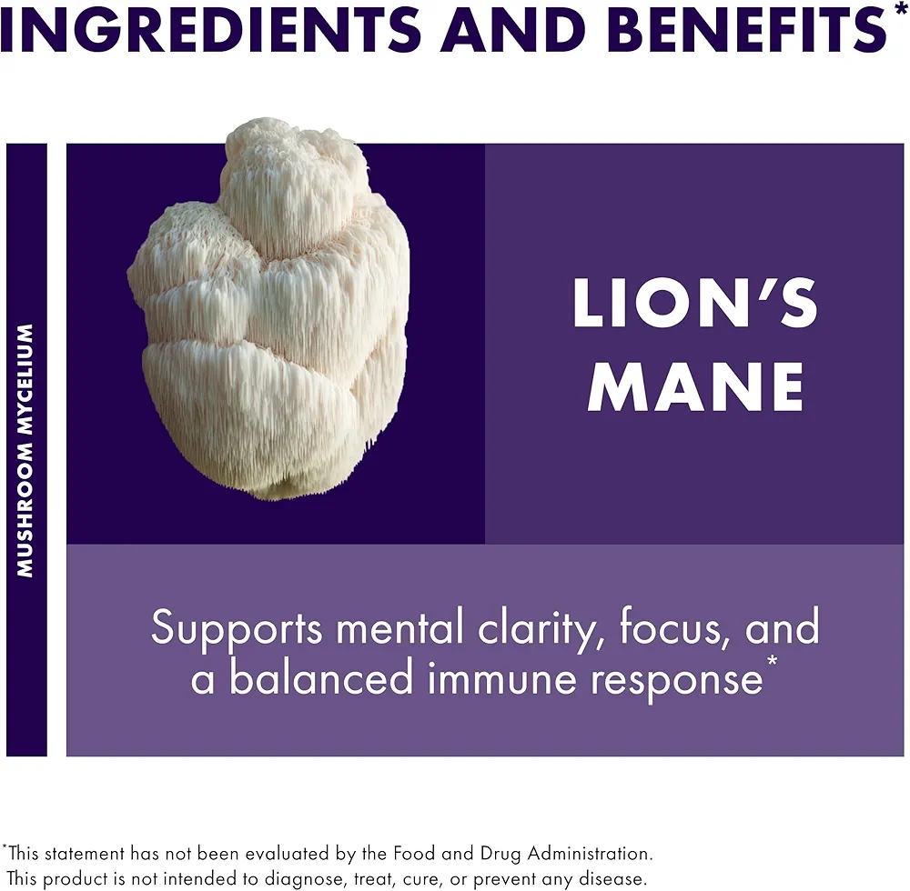 Host Defense Lion's Mane | Brain Health, Focus & Memory Support | 30 Capsules - Image 4
