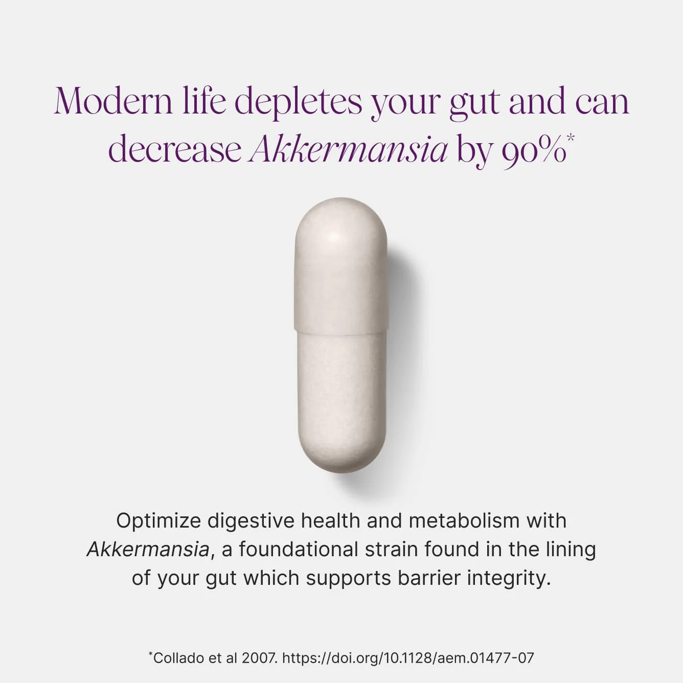 Pendulum Akkermansia Probiotic Supplement for Gut Health | 30 Capsules - Image 6