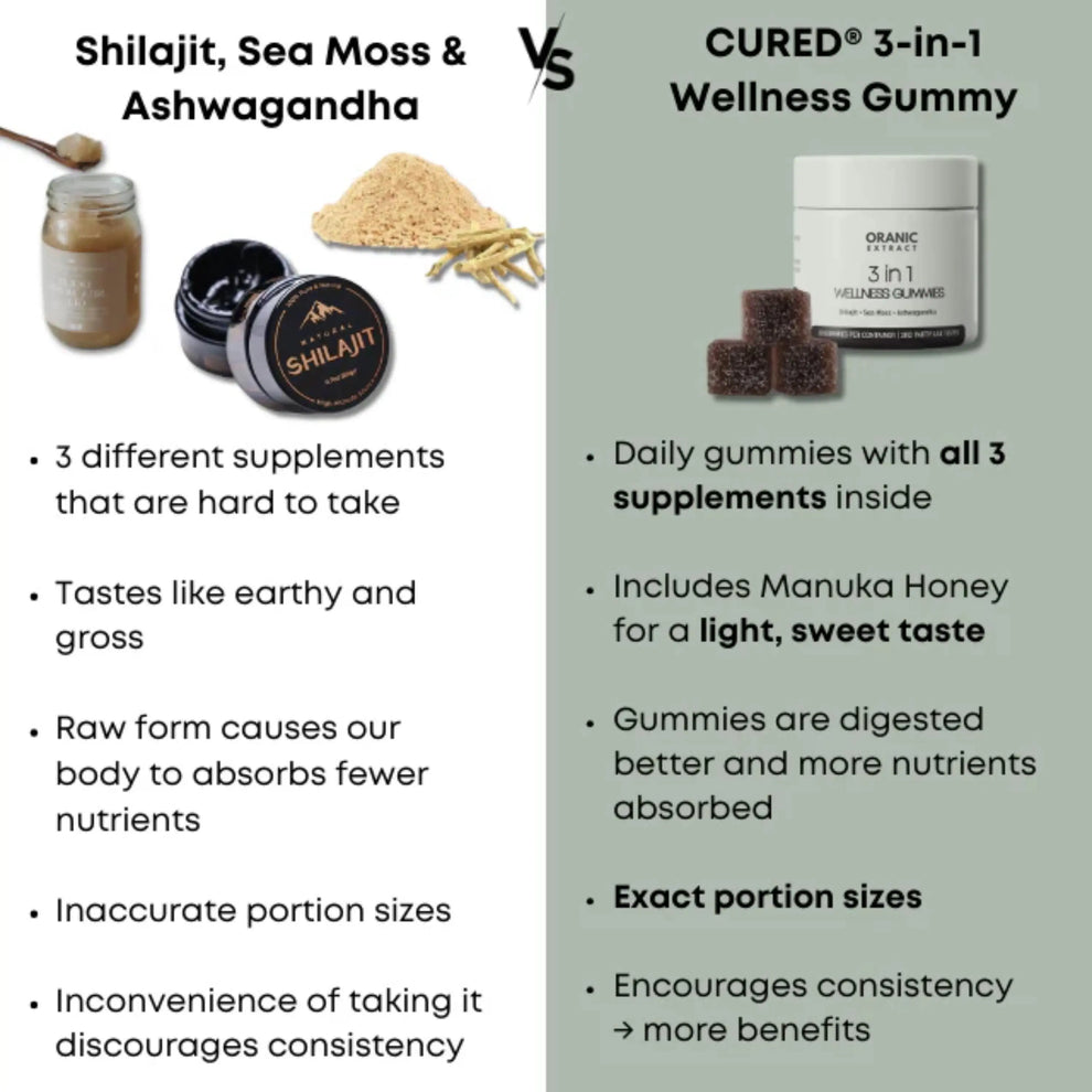 Organic Extract 3-in-1 Gummies | Shilajit, Sea Moss, Ashwagandha | 30 Gummies - Image 3