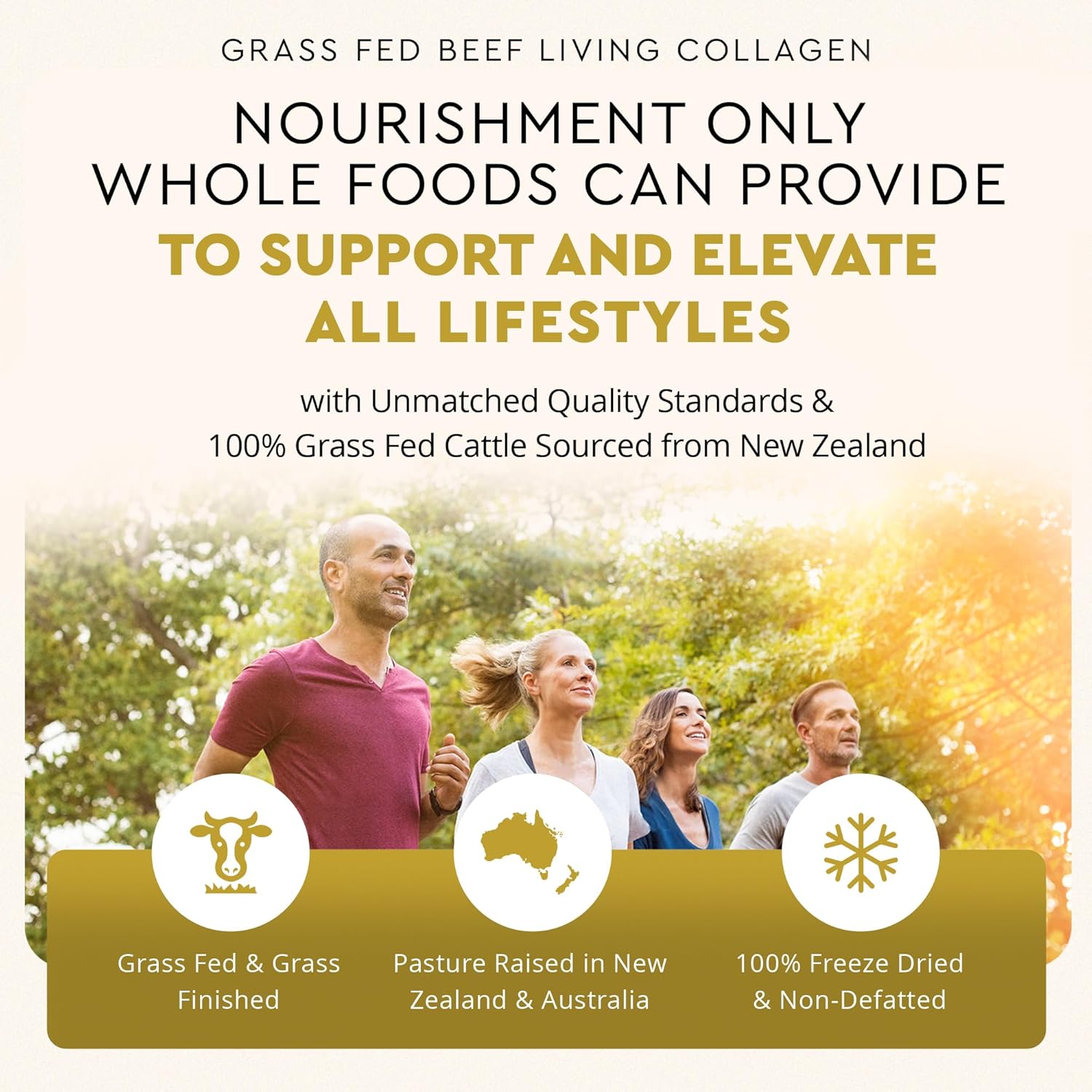 Ancestral Supplements Grass Fed Beef Living Collagen |Type II Collagen |180 Capsules - Image 6