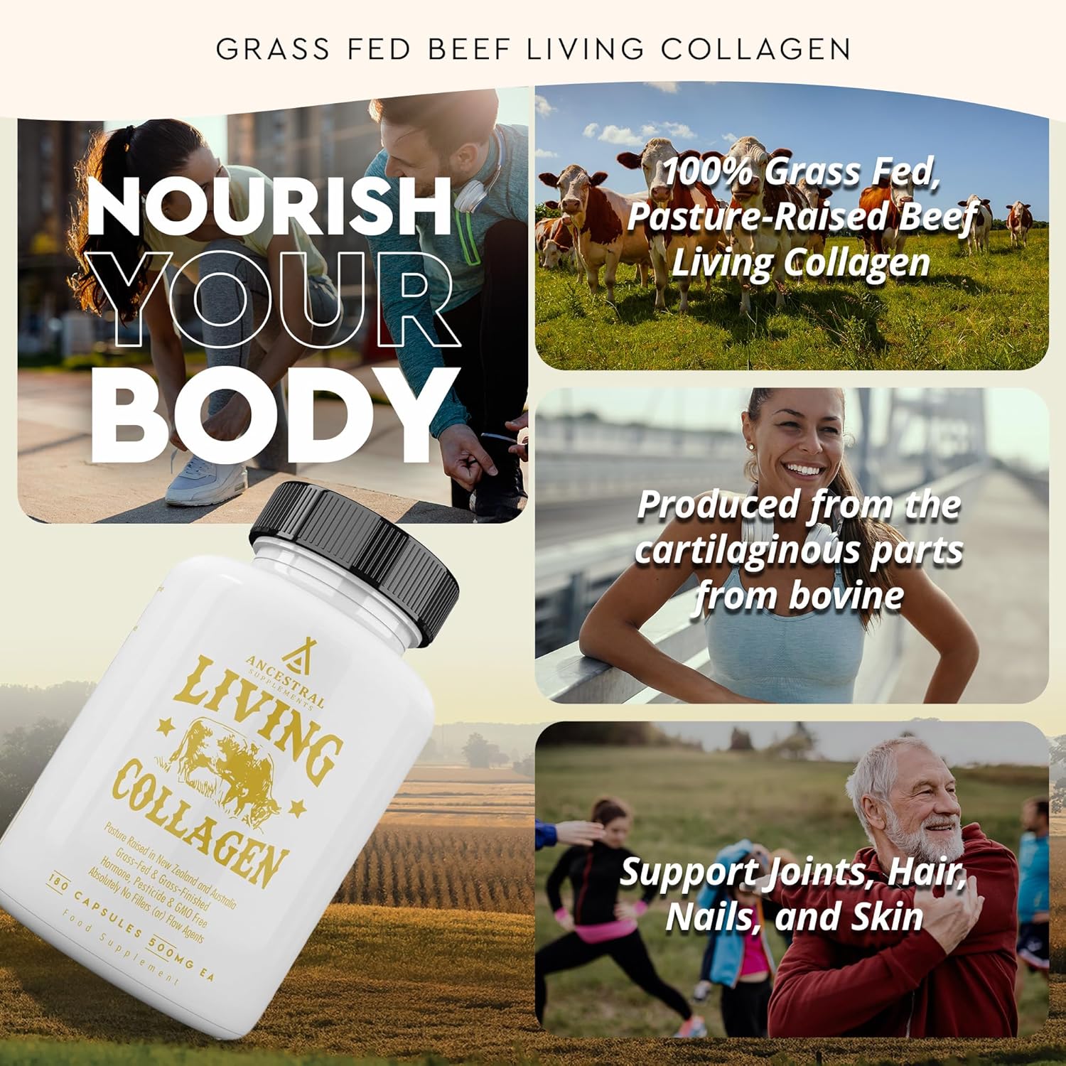 Ancestral Supplements Grass Fed Beef Living Collagen |Type II Collagen |180 Capsules - Image 4