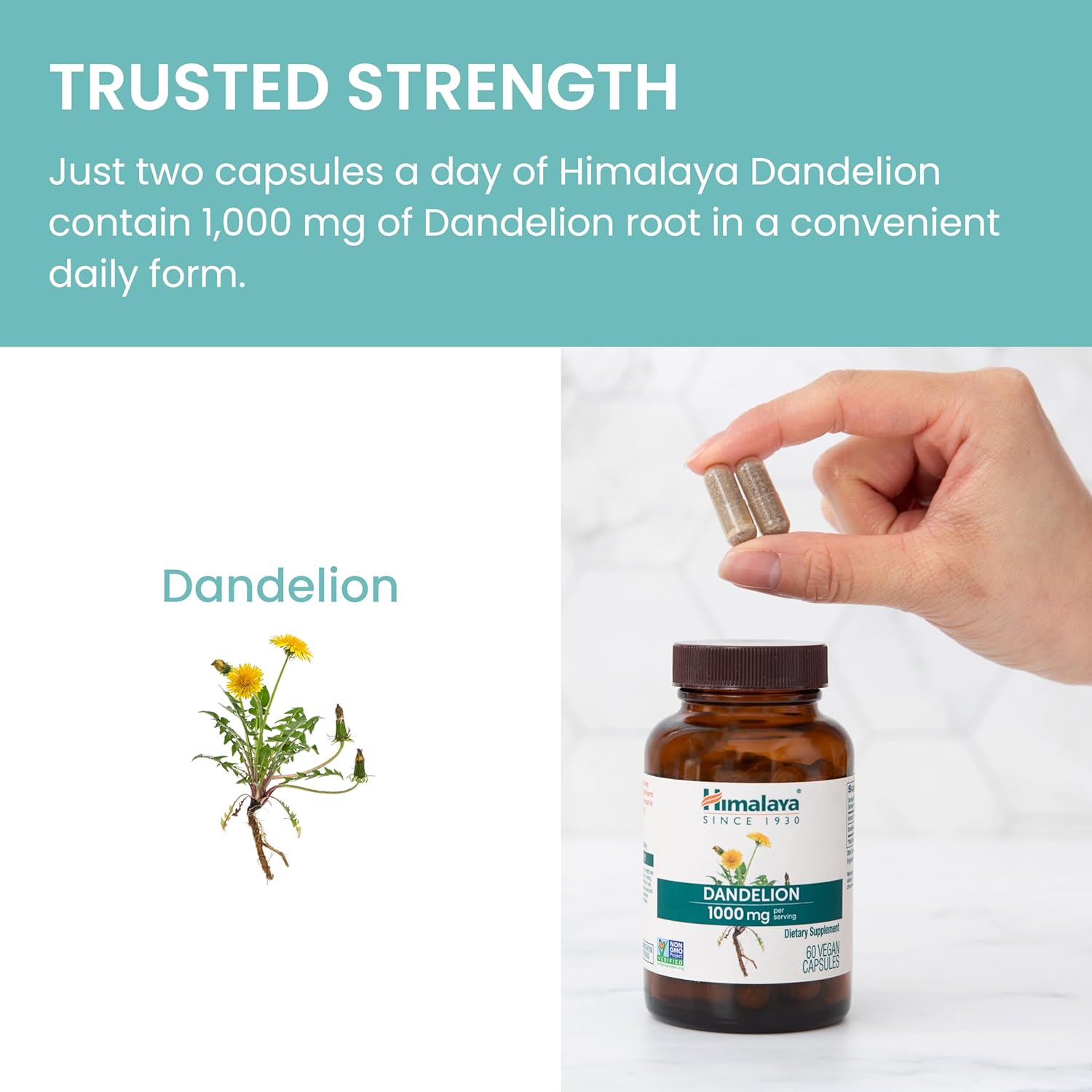 Himalaya Dandelion, Herbal Supplement for Daily Wellness Support | 60 Capsules - Image 6