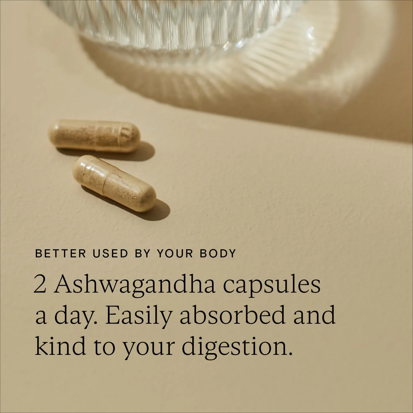 Wild Nutrition Ashwagandha Plus