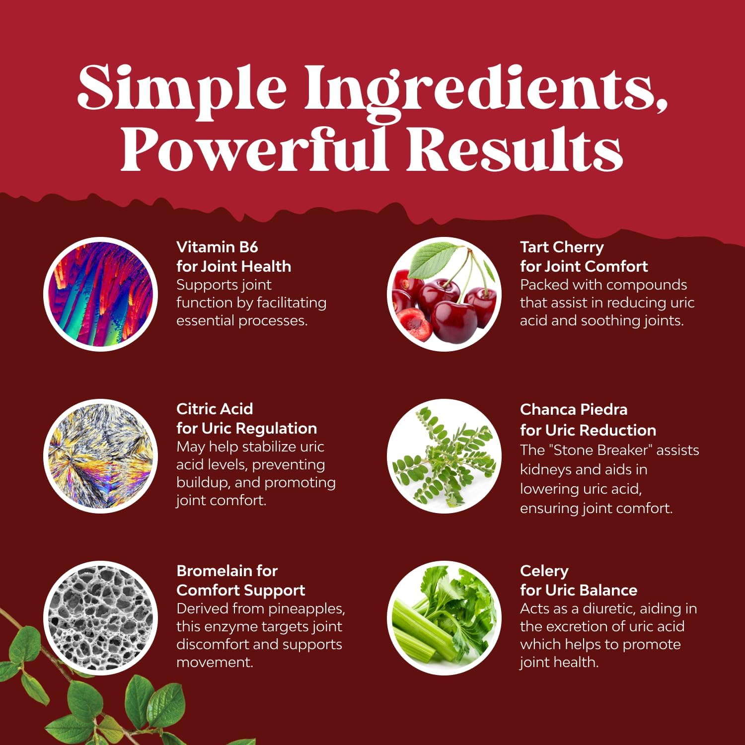 Uric Acid Cleanse Supplement for Joint & Kidney Support | 90 Caps - Image 5