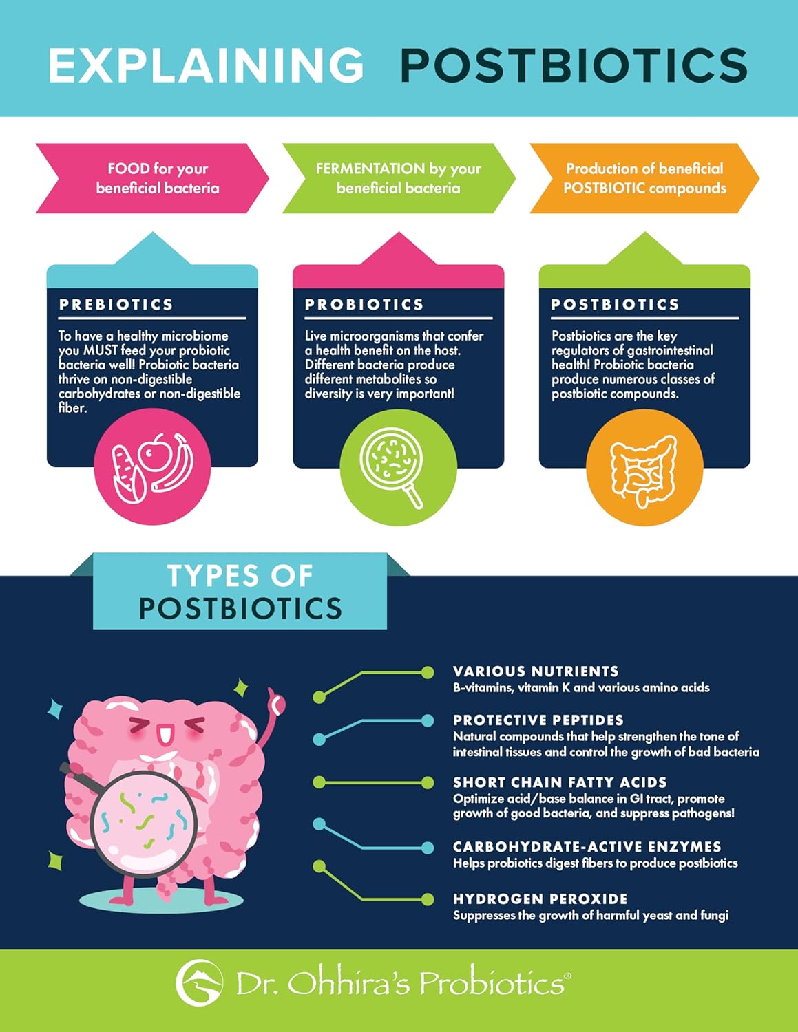 Dr. Ohhira’s Probiotics Original Formula with 3 Year Fermented Prebiotics, Live Active Probiotics and The only Product with Postbiotic Metabolites, 60 Capsules - Image 3