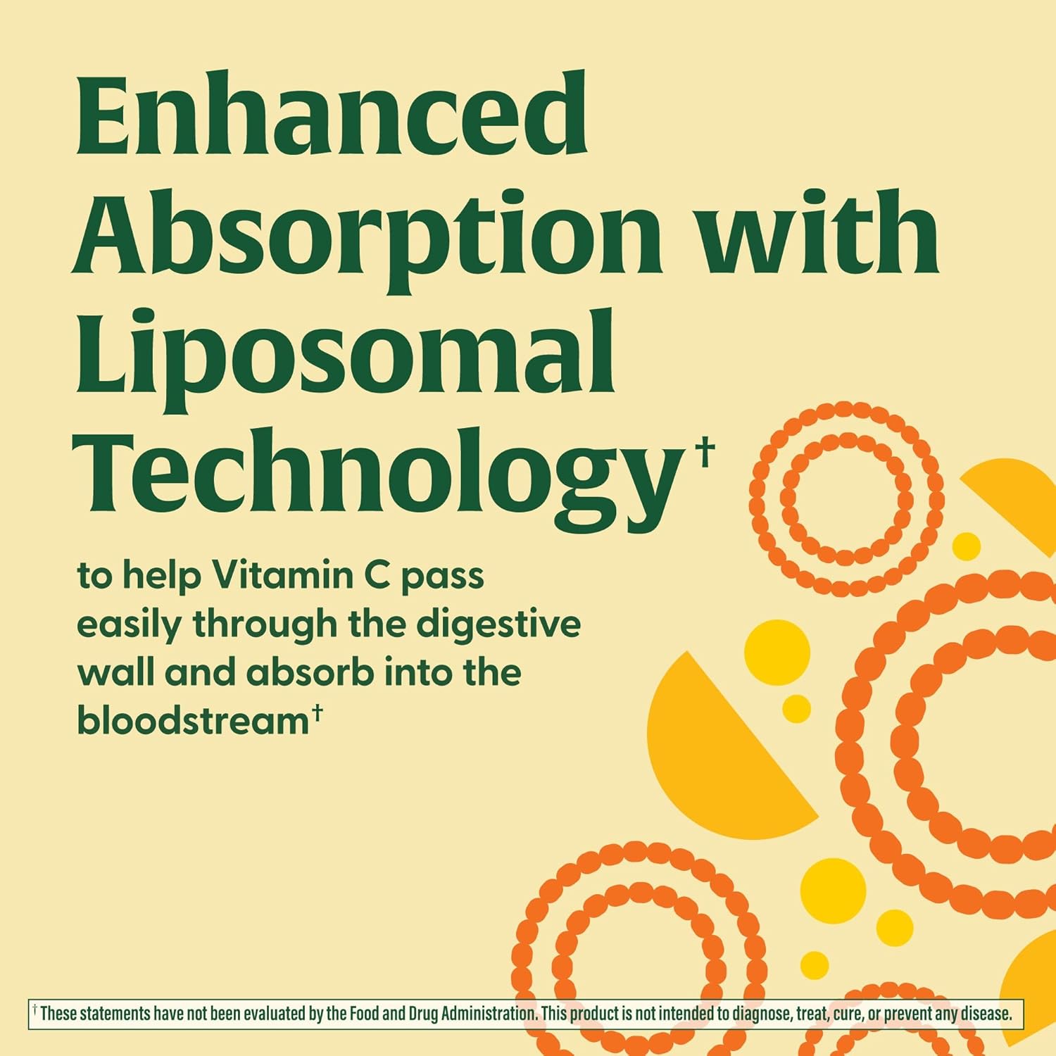 MegaFood Liposomal Vitamin C 1000mg | Maximum Absorption |120 Capsules - Image 5