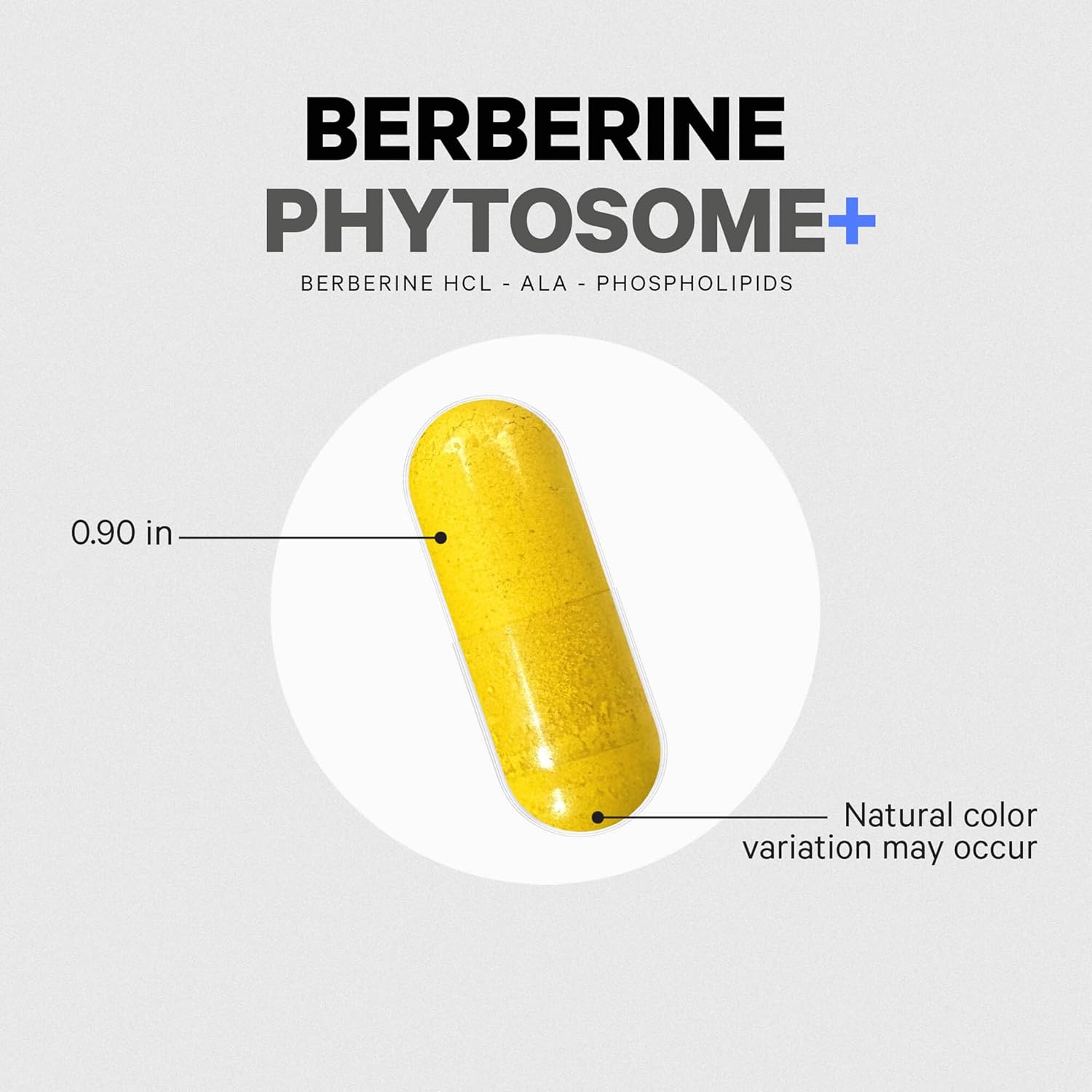Codeage Berberine Phytosome – Best Absorbed Supplement for Insulin | 60 Capsules - Image 3