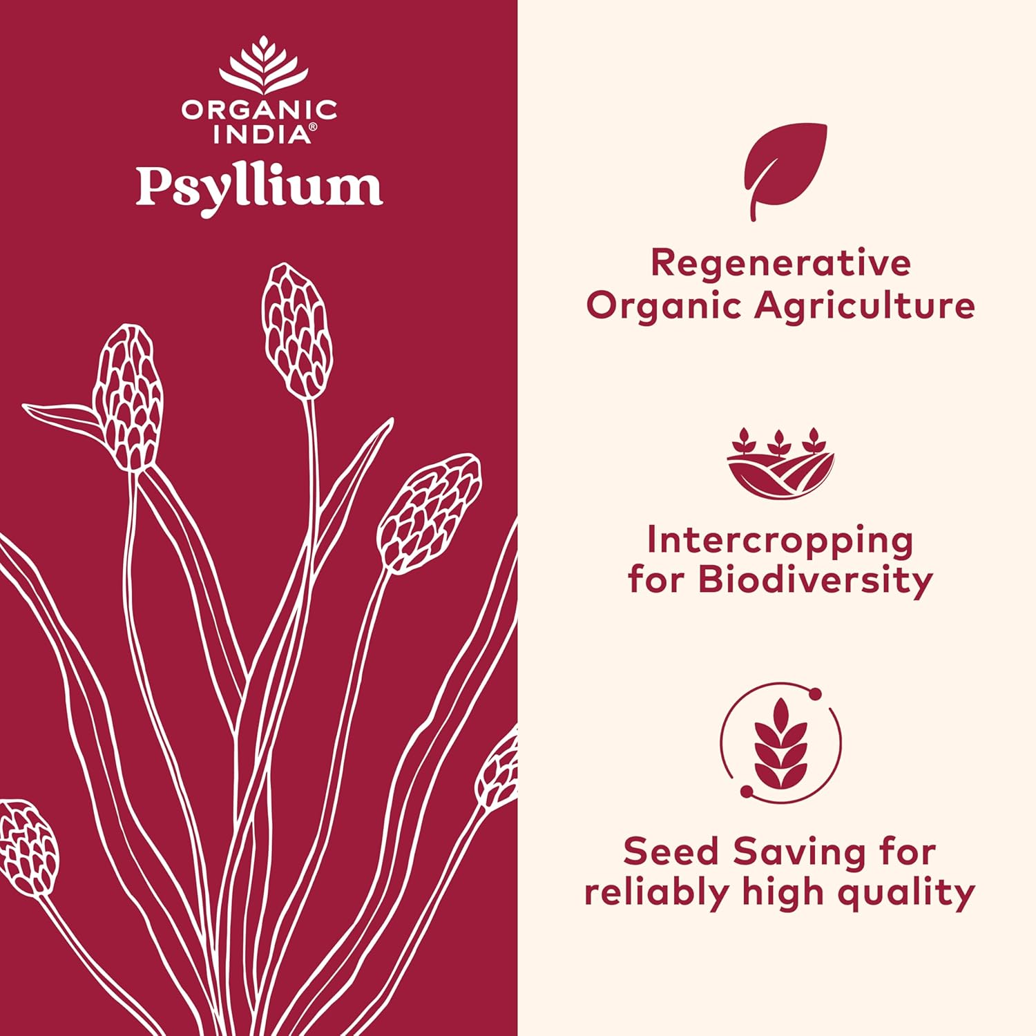 Essential Organic Whole Psyllium Husk Powder for Heart & Gut | 340 gm - Image 4