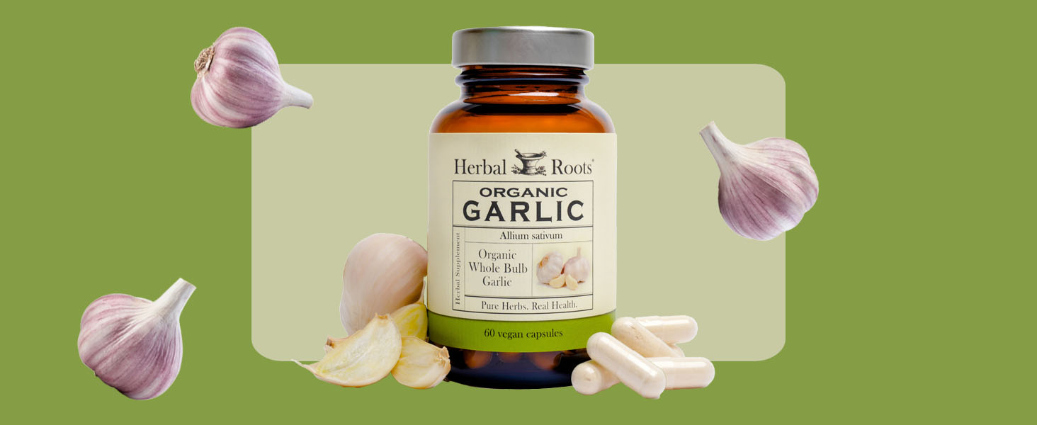 Garlic