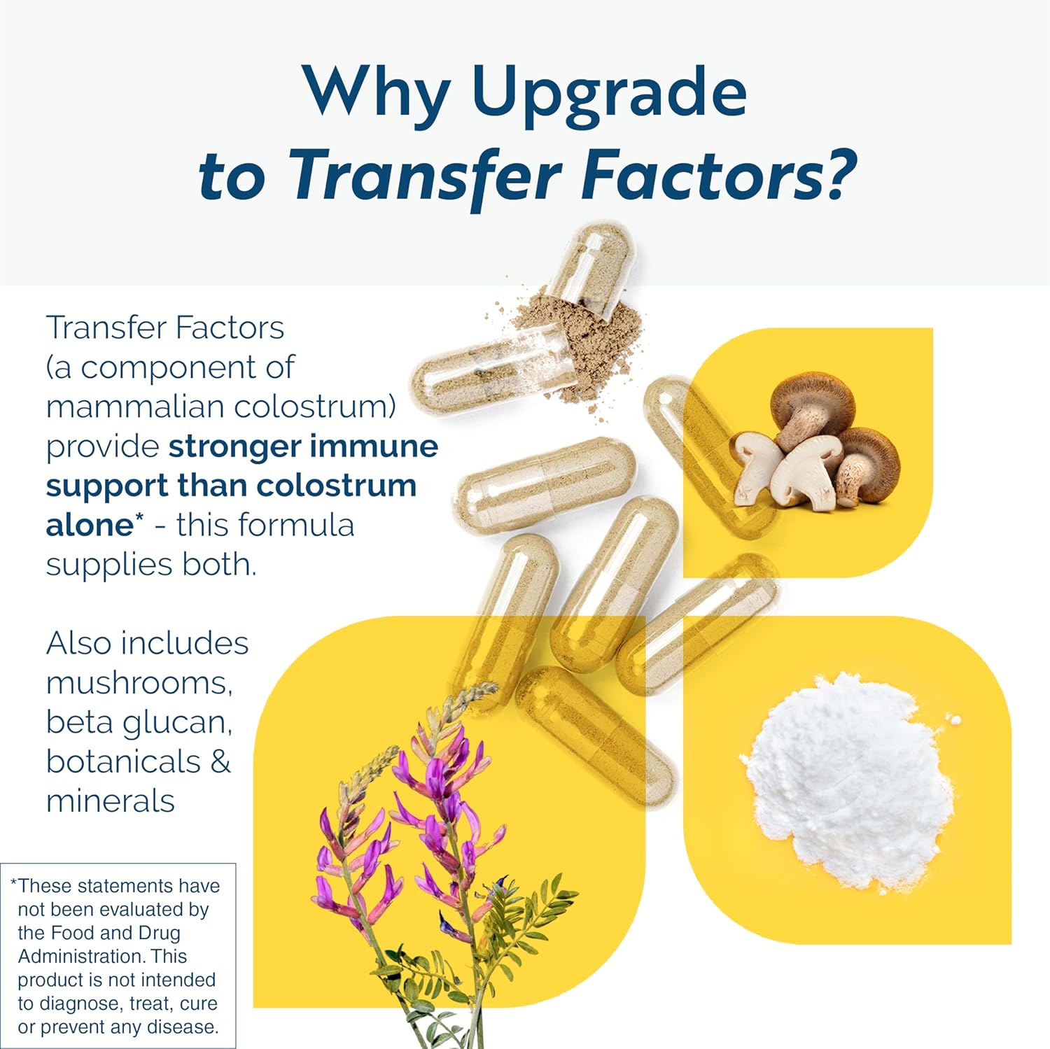 Transfer Factor Multi-Immune Support Supplement - Clinically Researched Immune Support Formula with Colostrum, Mushrooms, Green Tea, and IP-6 - Promotes Healthy NK Cell & T-Cell Function, 90 Capsules - Image 3