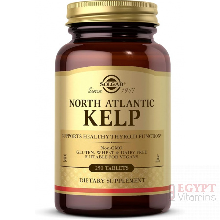Solgar North Atlantic Kelp | Thyroid & Metabolic Support | 250 Tablets