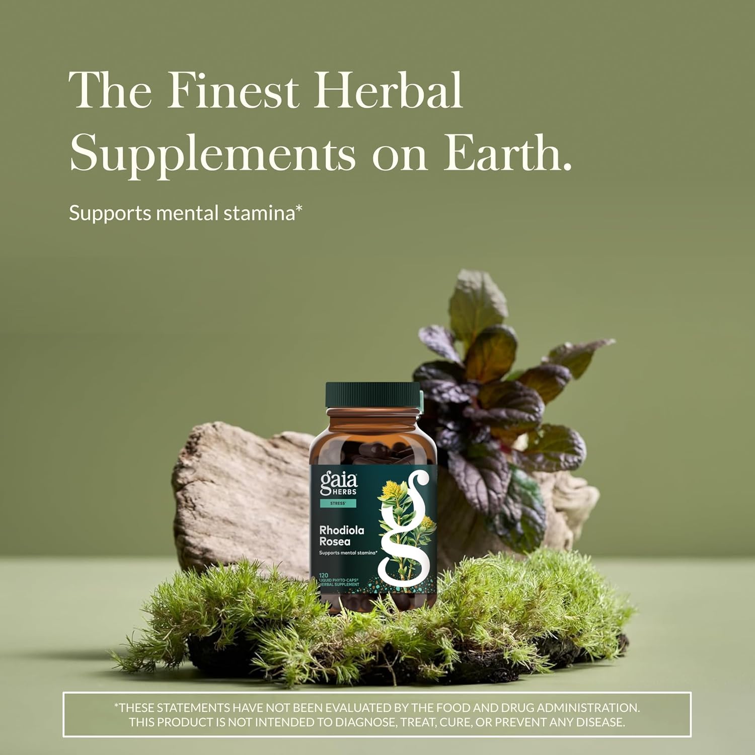 Gaia Herbs Rhodiola Rosea - Stress Support Supplement Traditionally for Supporting Healthy Stamina & Endurance* - with Siberian Rhodiola Root Extract - 120 Vegan Liquid Phyto-Caps - Image 4