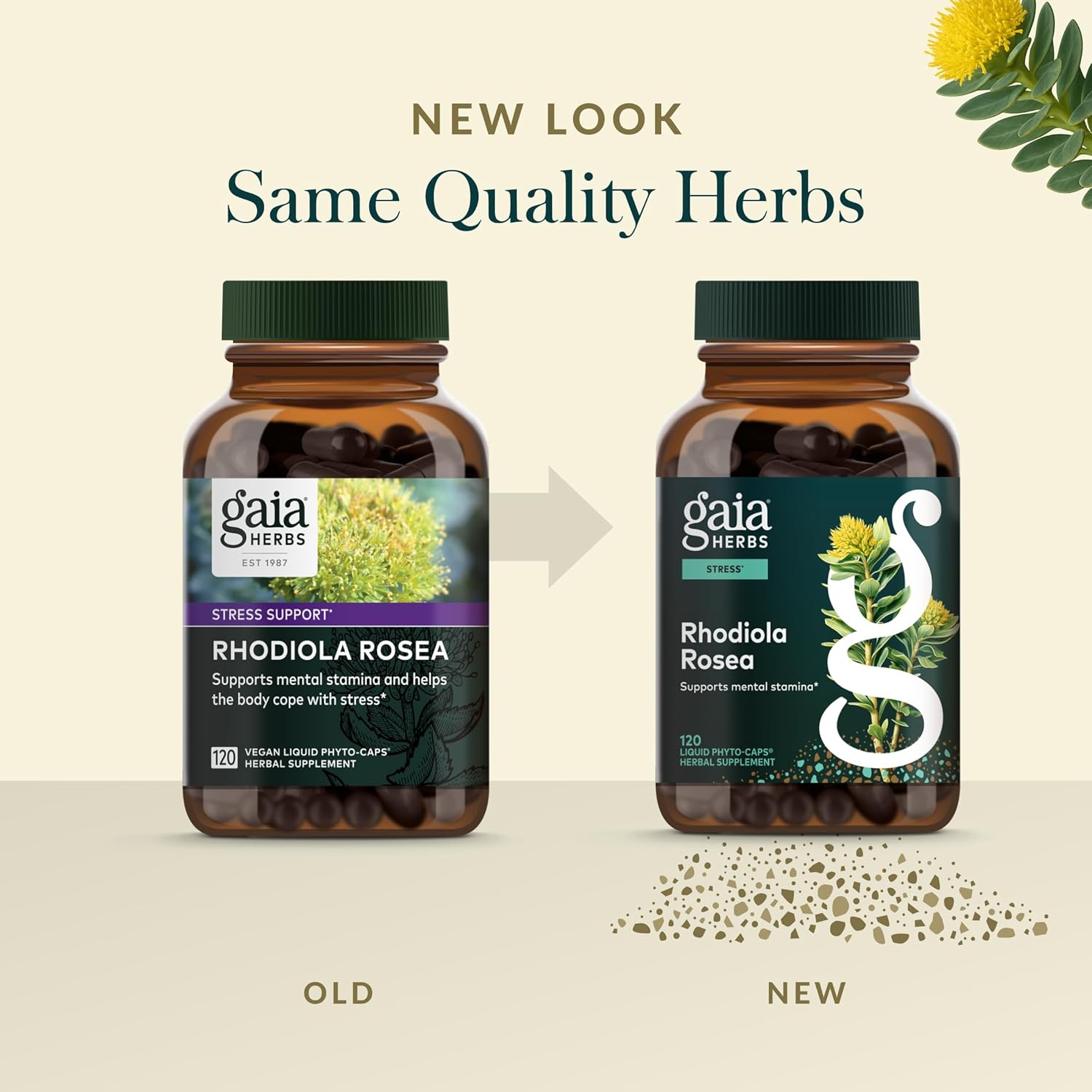 Gaia Herbs Rhodiola Rosea - Stress Support Supplement Traditionally for Supporting Healthy Stamina & Endurance* - with Siberian Rhodiola Root Extract - 120 Vegan Liquid Phyto-Caps - Image 3