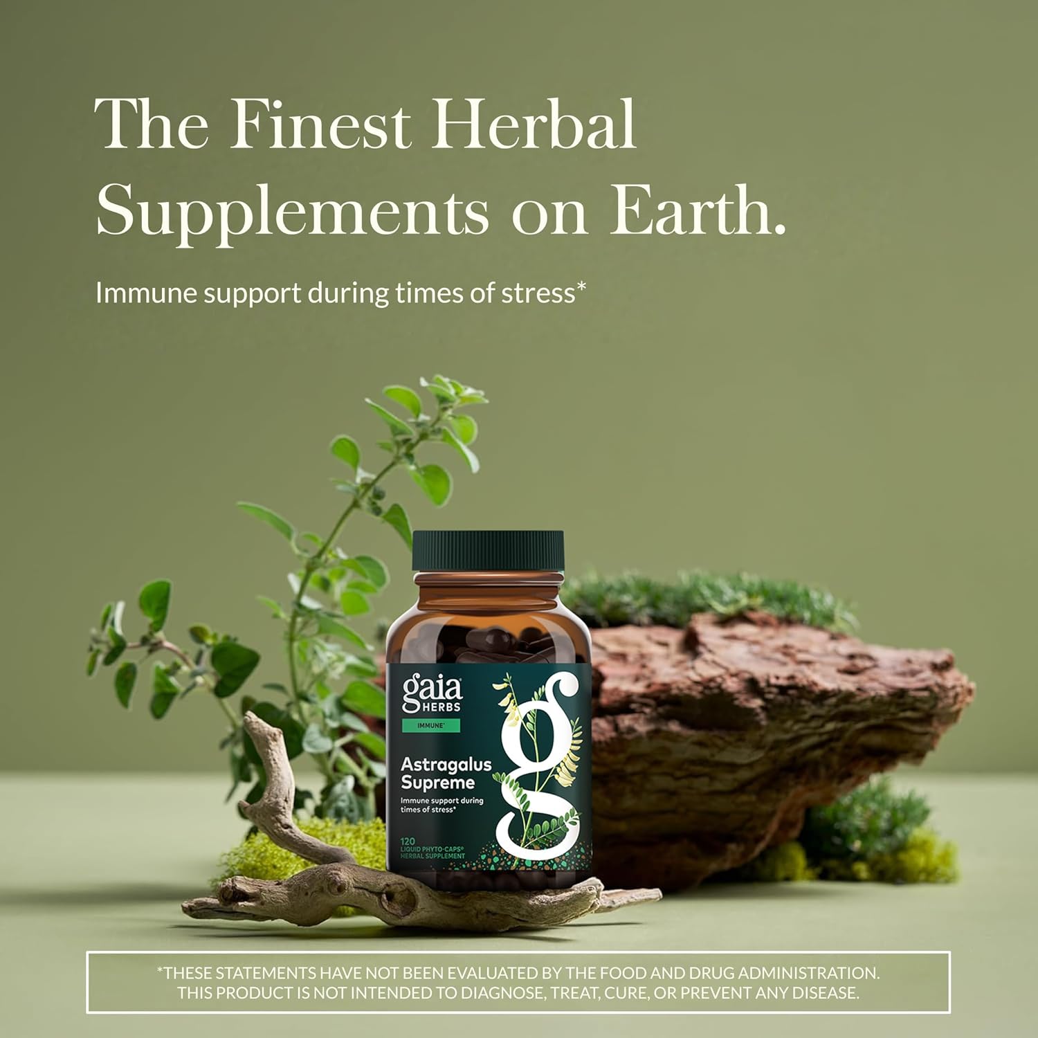 Gaia Herbs Astragalus Supreme | 120 Vegan Liquid Phyto-Caps - Image 6