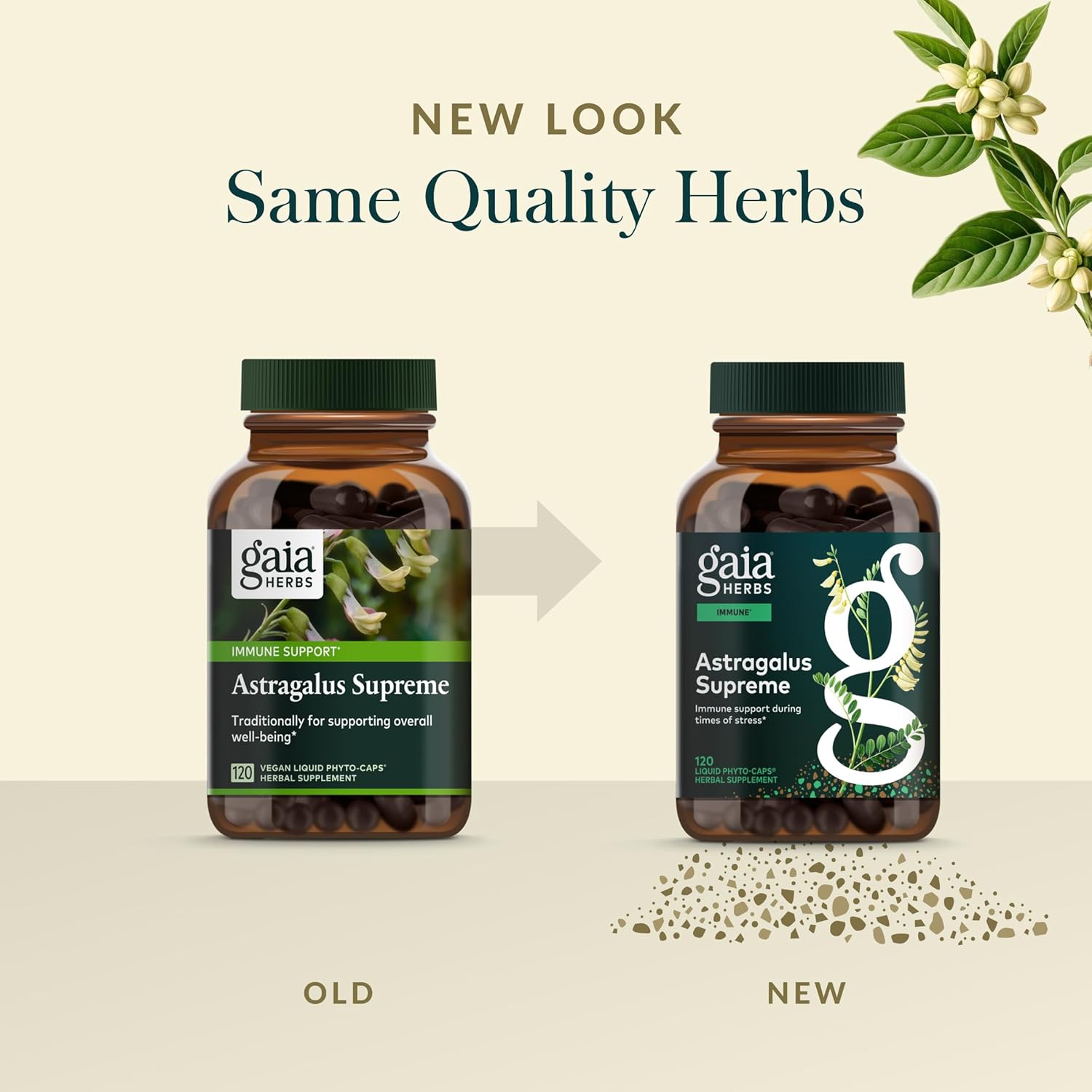 Gaia Herbs Astragalus Supreme | 120 Vegan Liquid Phyto-Caps - Image 3