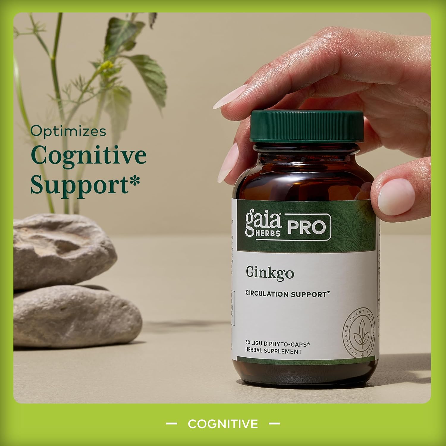 Gaia Herbs Pro Ginkgo | Cognitive Support | 60 Liquid Phyto-Caps - Image 3
