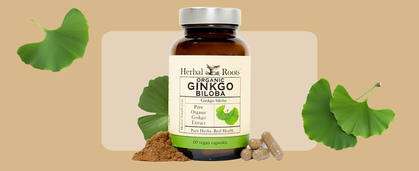 Ginkgo Biloba