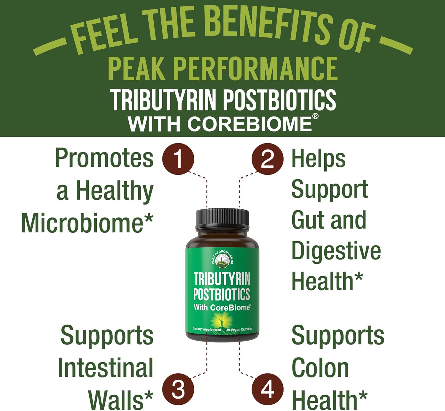 CoreBiome Tributyrin Postbiotic | Advanced Gut Barrier Support | 30 Caps - Image 4